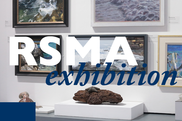 2020 RSMA Exhibition Awards Header Image 1